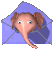 email для сайта